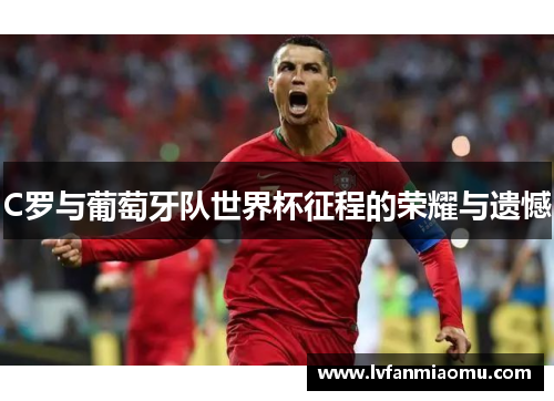 C罗与葡萄牙队世界杯征程的荣耀与遗憾