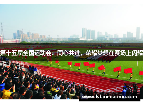 第十五届全国运动会：同心共进，荣耀梦想在赛场上闪耀
