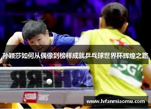 孙颖莎如何从偶像到榜样成就乒乓球世界杯辉煌之路