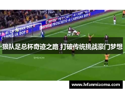 狼队足总杯奇迹之路 打破传统挑战豪门梦想